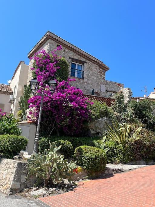Strelizia - New Central Old Antibes For 4 Ac Exterior photo