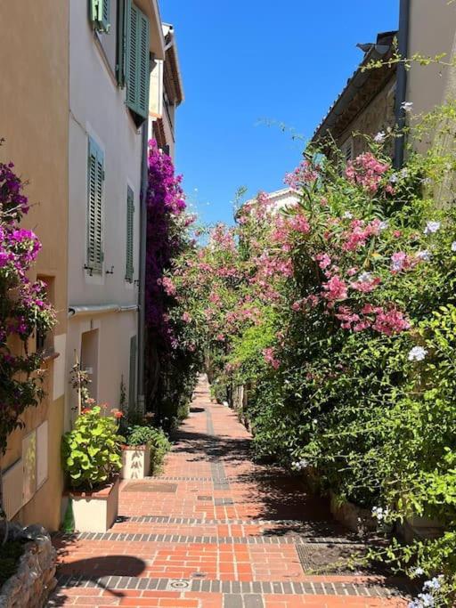 Strelizia - New Central Old Antibes For 4 Ac Exterior photo